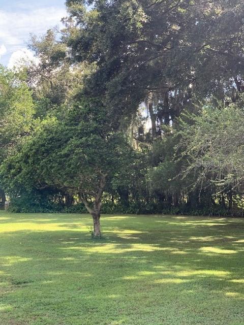 Picture of 2705 Ranch Road, Dover FL 33527