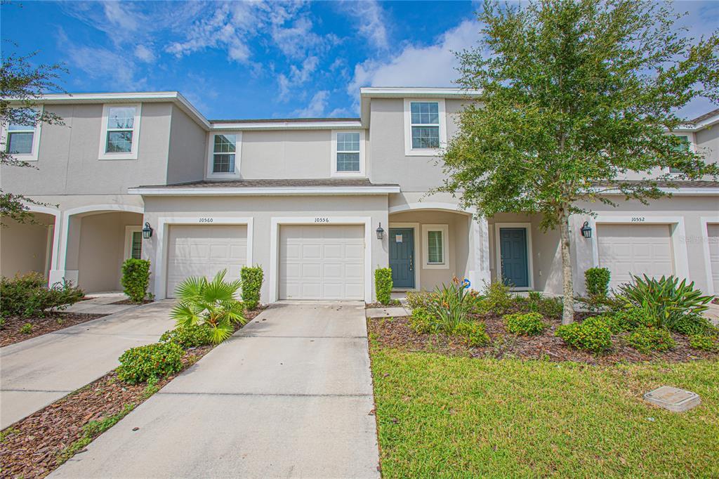 Picture of 10556 Salt Grove Street, Orlando, FL 32824