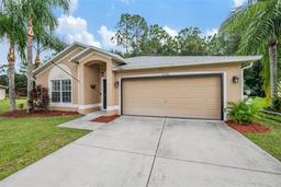 Picture of 35230 Meadow Reach Drive, Zephyrhills, FL 33541