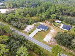 Picture of 30038 Aster Court, Eustis, FL 32736