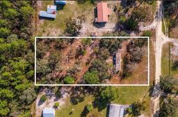 Picture of 164 SE 180Th Avenue, Old Town, FL 32680