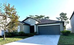 Picture of 12907 Wildflower Meadow Drive, Riverview, FL 33579