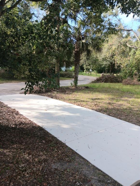 Picture of 31647 Mount Plymouth Loop, Sorrento FL 32776