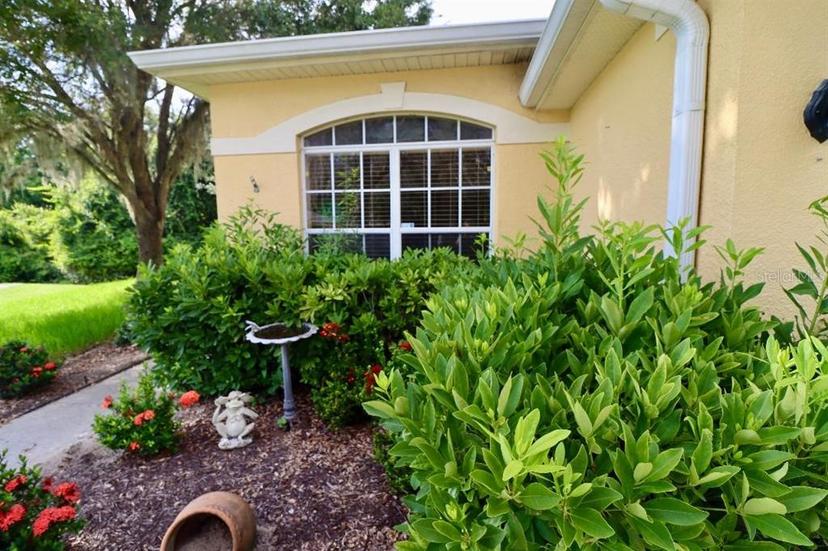 Picture of 11445 Bathgate Court, New Port Richey FL 34654