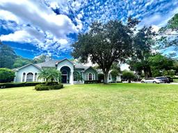 Picture of 168 Rue Des Chateaux, Tarpon Springs, FL 34688