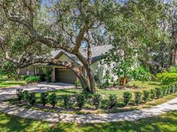 Picture of 2728 Saint Cloud Oaks Drive, Valrico, FL 33594