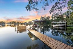 Picture of 10412 Carroll Cove Place, Tampa, FL 33612