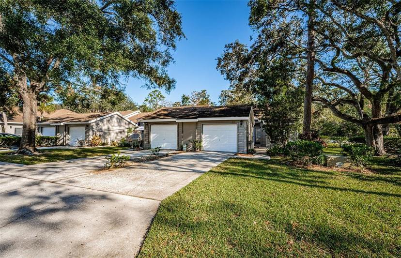 Picture of 4399 Brooker Creek Drive, Palm Harbor FL 34685