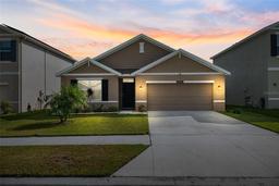 Picture of 15502 Black Pepper Lane, Odessa, FL 33556