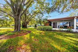 Picture of 2390 Shelly Drive Unit D, Palm Harbor, FL 34684