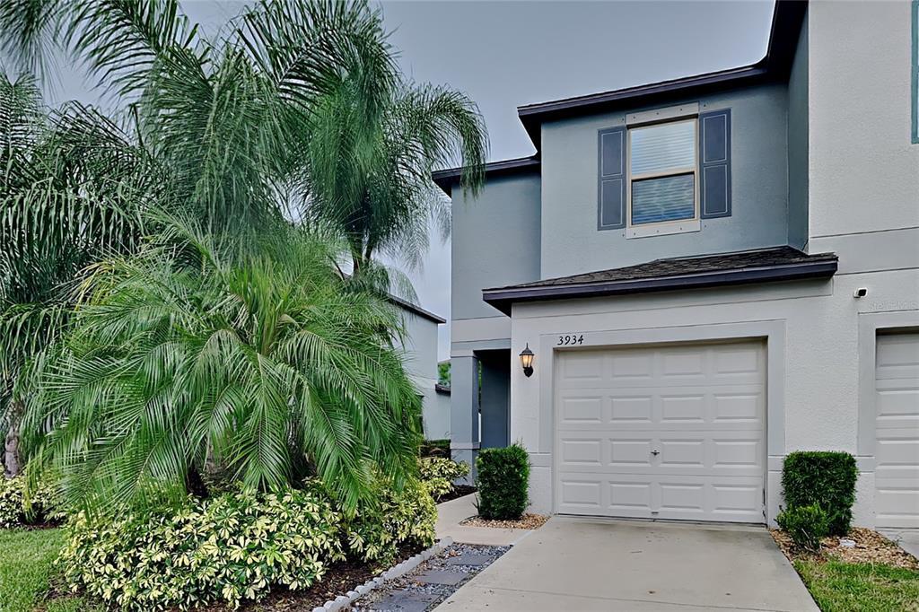 Picture of 3934 Cat Mint Street, Tampa, FL 33619