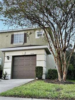 Picture of 8550 Trail Wind Drive, Tampa, FL 33647