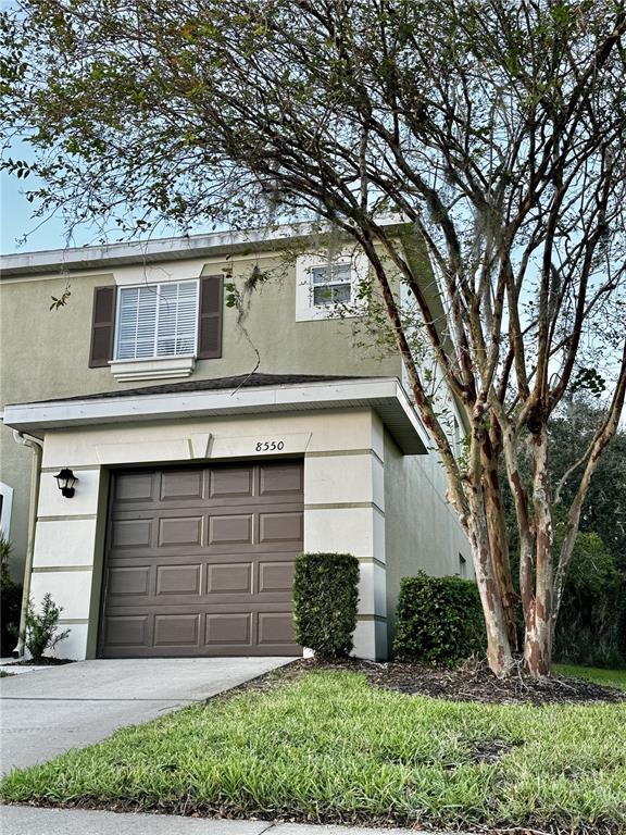 Picture of 8550 Trail Wind Drive, Tampa FL 33647