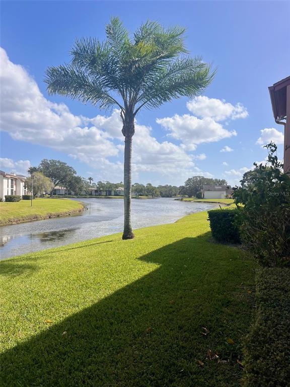 Picture of 143 Lakeside Drive Unit 143, Oldsmar FL 34677