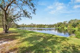 Picture of 2543 Centennial Falcon Drive, Valrico, FL 33596