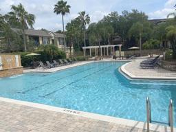 Picture of 10108 Courtney Oaks Circle Unit 203, Tampa, FL 33619