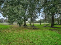 Picture of 65 N Bobwhite Road, Wildwood, FL 34785