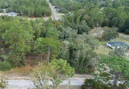 Picture of 10891 N Shady Hill Point, Dunnellon, FL 34433