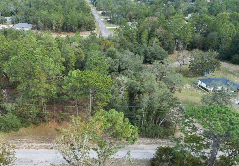 Picture of 10891 N Shady Hill Point, Dunnellon FL 34433