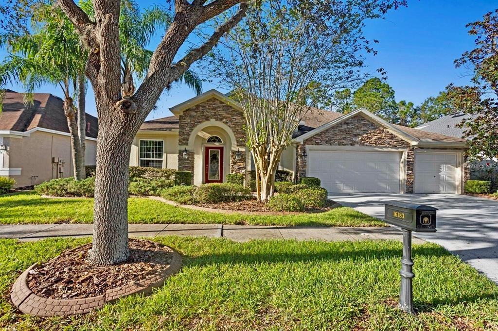 Picture of 16183 Colchester Palms Drive, Tampa, FL 33647