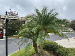 Picture of 7937 St Simons Street Unit 7937, University Park, FL 34201