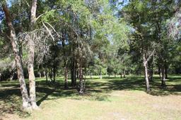 Picture of undefined, Brooksville, FL 34604