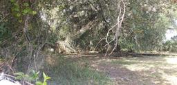 Picture of 24971 NE 135Th Street, Salt Springs, FL 32134