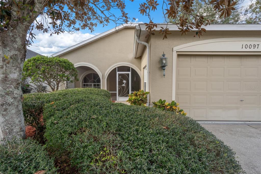 Picture of 10097 Holly Berry Drive, Weeki Wachee, FL 34613