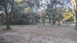 Picture of 16727 NE 56Th Place, Silver Springs, FL 34488