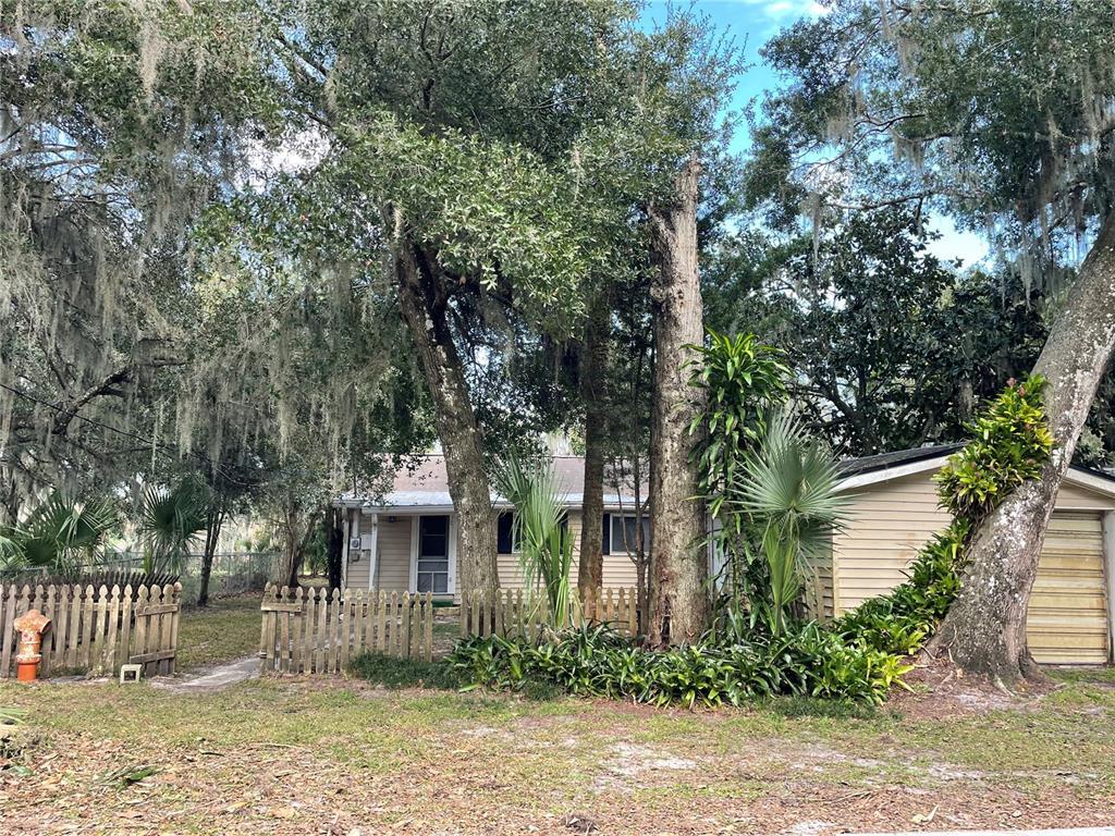 Picture of 969 Lemon Bluff Road, Osteen, FL 32764