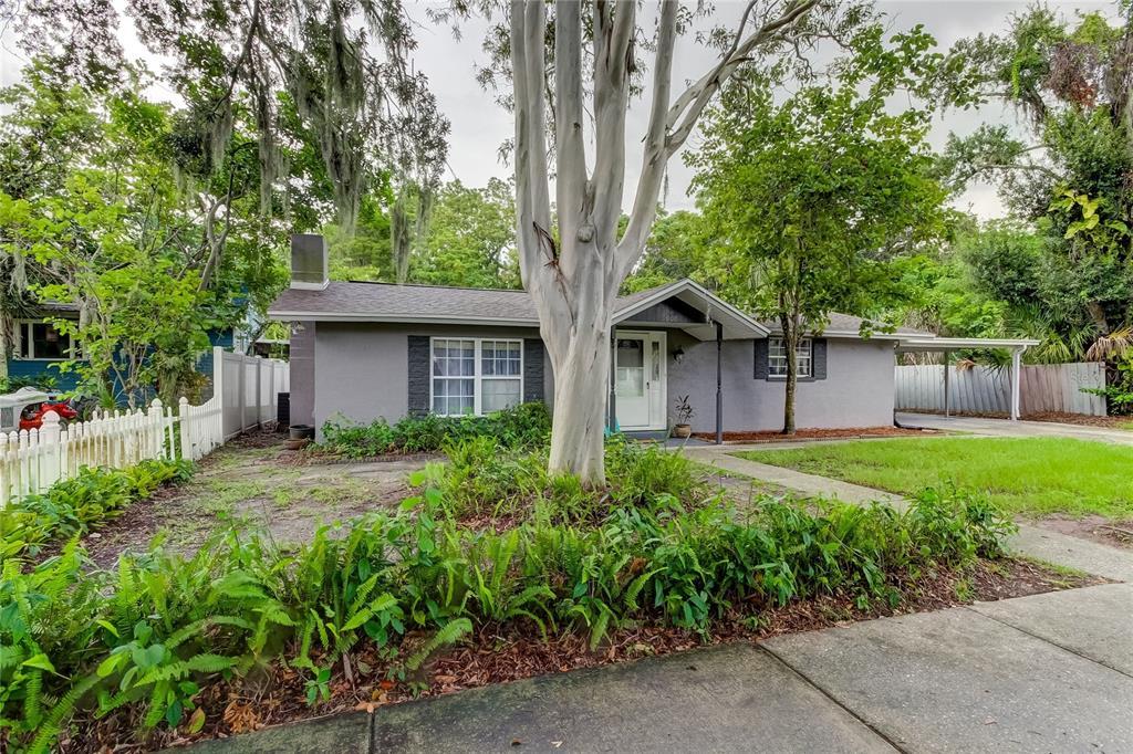 Picture of 508 Park Boulevard, Oldsmar, FL 34677