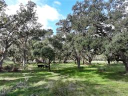 Picture of 21284 Ayers Road, Brooksville, FL 34604