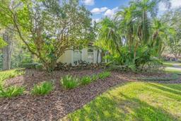 Picture of 4907 Londonderry Drive, Tampa, FL 33647