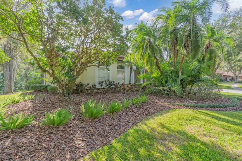 Picture of 4907 Londonderry Drive, Tampa FL 33647