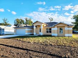 Picture of 103 2Nd Avenue Ne, Lutz, FL 33549