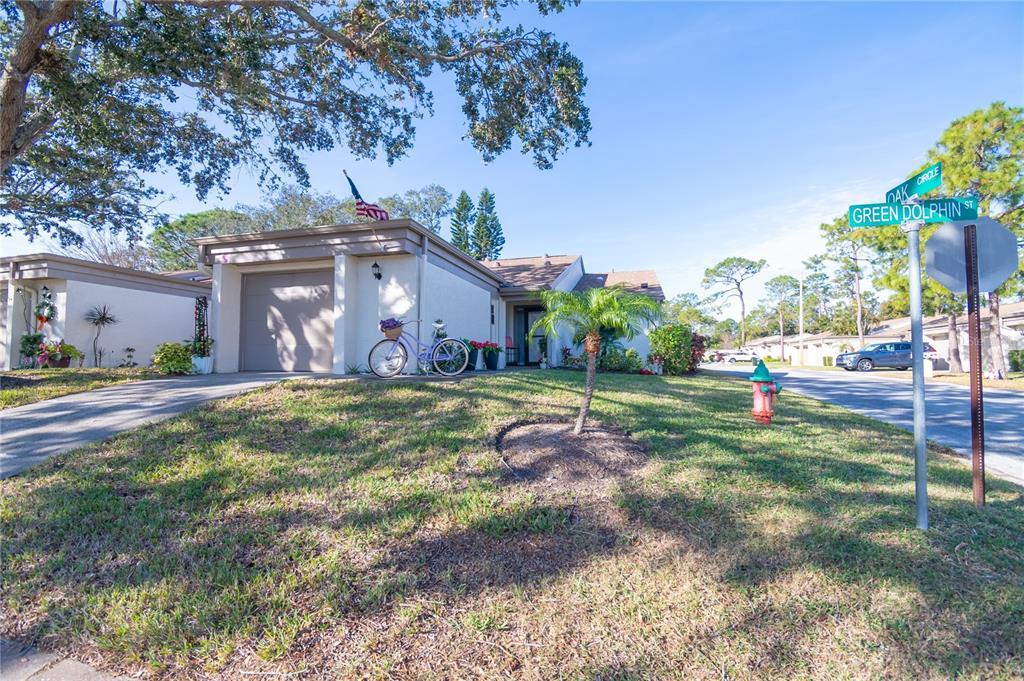 Picture of 3207 Green Dolphin Street, Tarpon Springs, FL 34689