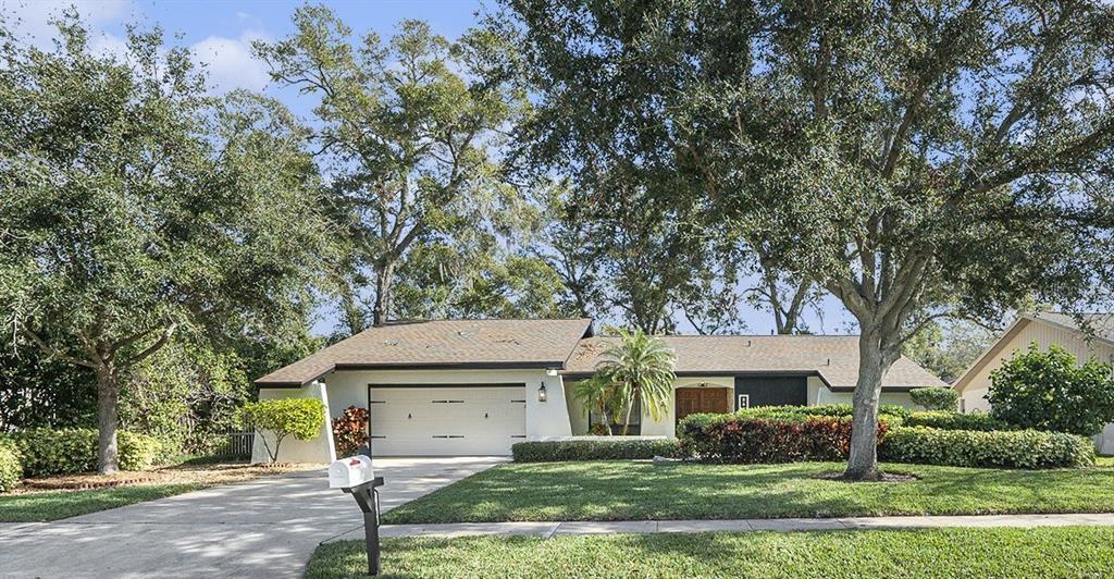 Picture of 2383 Indian Trail E, Palm Harbor, FL 34683