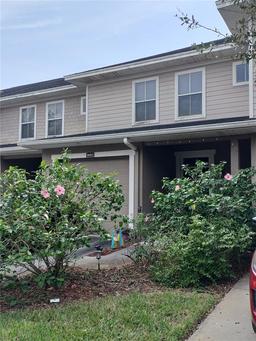 Picture of 8003 Bally Money Road, Tampa, FL 33610