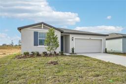 Picture of 31698 Wild Grape Lane, Brooksville, FL 34602