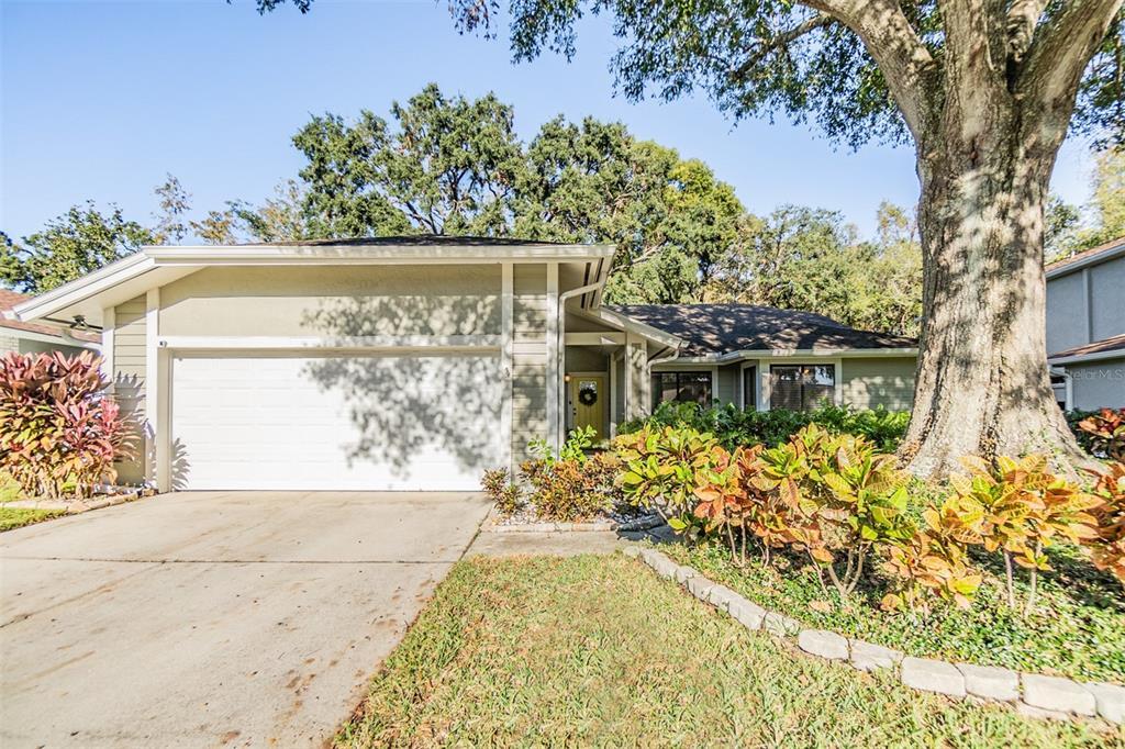 Picture of 14631 Village Glen Circle, Tampa, FL 33618