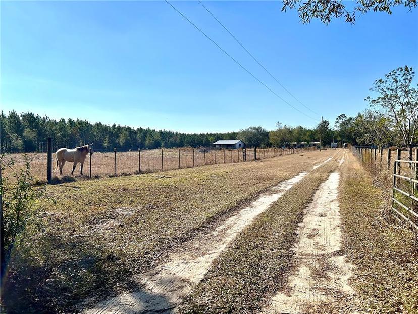 Picture of 11475 167Th Road, Live Oak FL 32060