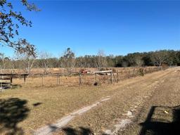 Picture of 11475 167Th Road, Live Oak, FL 32060