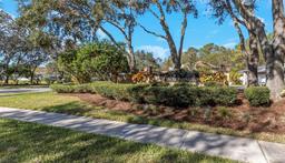 Picture of 4953 Edgewater Lane, Oldsmar, FL 34677