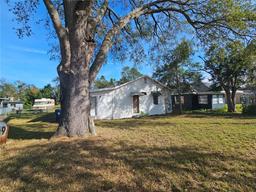 Picture of 509 Lemon St., Auburndale, FL 33823