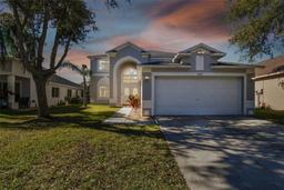 Picture of 18136 Sandy Pointe Drive, Tampa, FL 33647