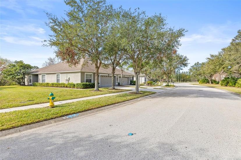 Picture of 4427 Ashton Meadows Way, Wesley Chapel FL 33543