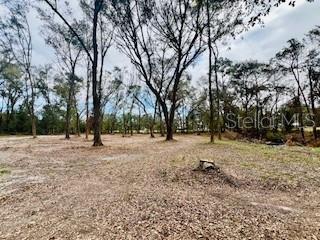 Picture of 15825 141St Road, Mc Alpin FL 32062