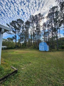 Picture of 17700 SE 86Th Street, Ocklawaha, FL 32179