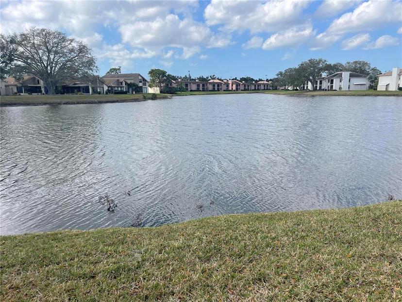 Picture of 208 Nina Way Unit 208, Oldsmar FL 34677