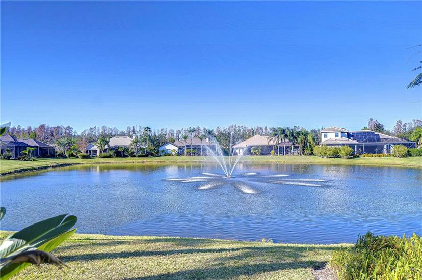 Picture of 20953 Broadwater Drive, Land O Lakes FL 34638